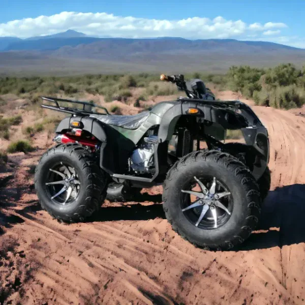 ATV 250 CC | Hunter Camouflage, директен внос - bulpower