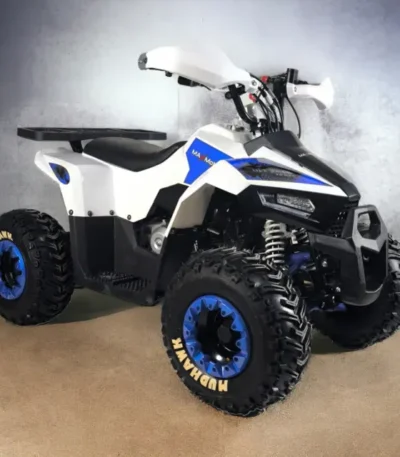 Бензиново ATV 125 кубика | MaxMotors MUDHAWK - Bulpower