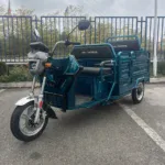 Електрическа товарна триколка MaxMotors Go Pro, Blue, 2000w