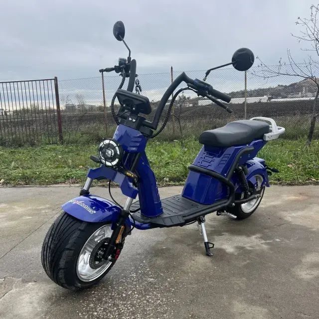 Електрически скутер | Двуместен, CP-9 Blue - Bulpower