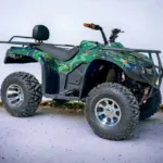 Електрическо ATV | Animal SPORT 6000W Green - bulpower