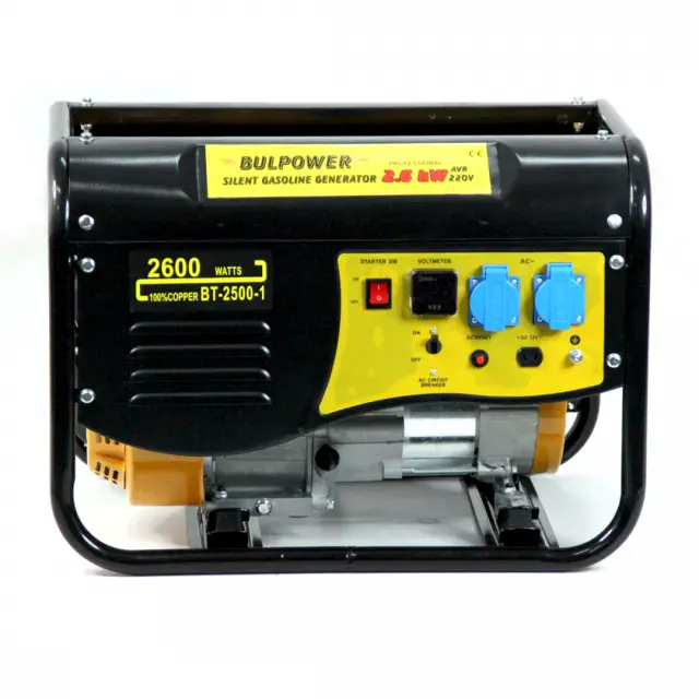 main view 1 of generatori za tok 26kw bp professional s vgradena avtomatika monofazen gaz benzin