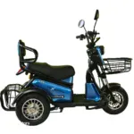 Електрическа триколка Двуместна MaxMotors Pudding 1500W BLUE - Image 2