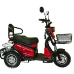 Електрическа триколка Двуместна MaxMotors Pudding 1500W RED - Image 2