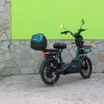 Електрически скутер MaxMotors - двуместен, 20″ гуми, 1200W, 60V/20Ah Green - Image 5