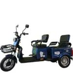 Електрическа триколка MaxMotors KARGO LUX двуместна BLUE - Image 6