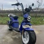Електрически скутер двуместен MaxMotors CP-9 Blue - Image 6