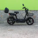 Електрически скутер MaxMotors - двуместен, 18″ гуми, 750W, 48V/20Ah Black - Image 6