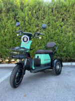 Двуместна електрическа триколка MaxMotors Grand Pudding 2000W 60V-25Ah Green