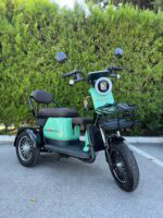 Двуместна електрическа триколка MaxMotors Grand Pudding 2000W 60V-25Ah Green - Image 2