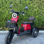 Двуместна електрическа триколка MaxMotors Grand Pudding 2000W 60V-25Ah Red